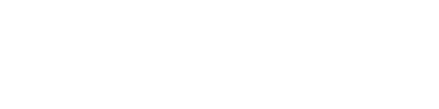 Northern Lights Exteriors White Logo