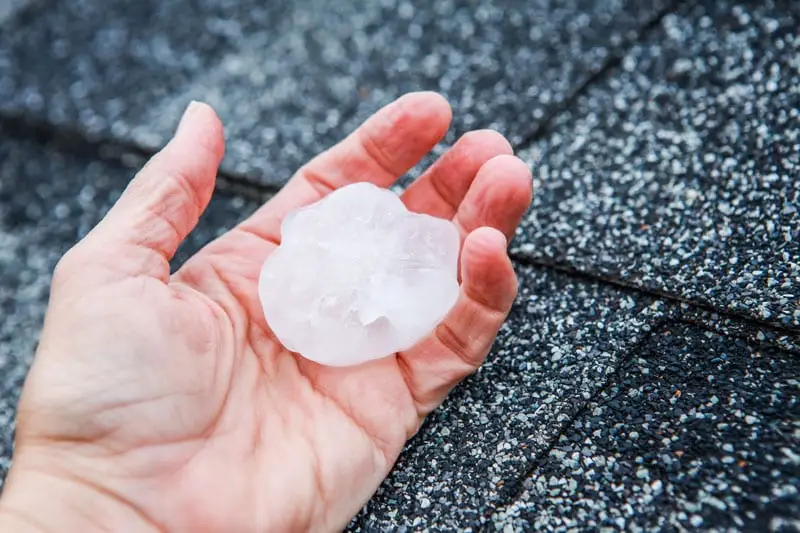 Hail damage roof insurance claim case study in Windsor Colorado