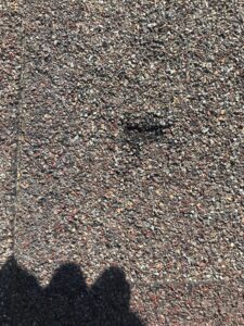 "Hail damaged roof in Milliken, CO showing asphalt shingle impact marks."