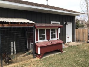 Niwot James Hardie Siding Home Remodel featuring Rich Espresso with Arctic White Trim