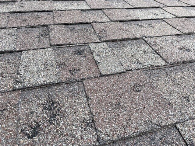 Hail-damaged asphalt shingle roof in Erie, Colorado showing granule loss and impact marks caused by severe hail storm damage. This roof was inspected by Northern Lights Exteriors and qualified for roof replacement through the homeowner's insurance claim.