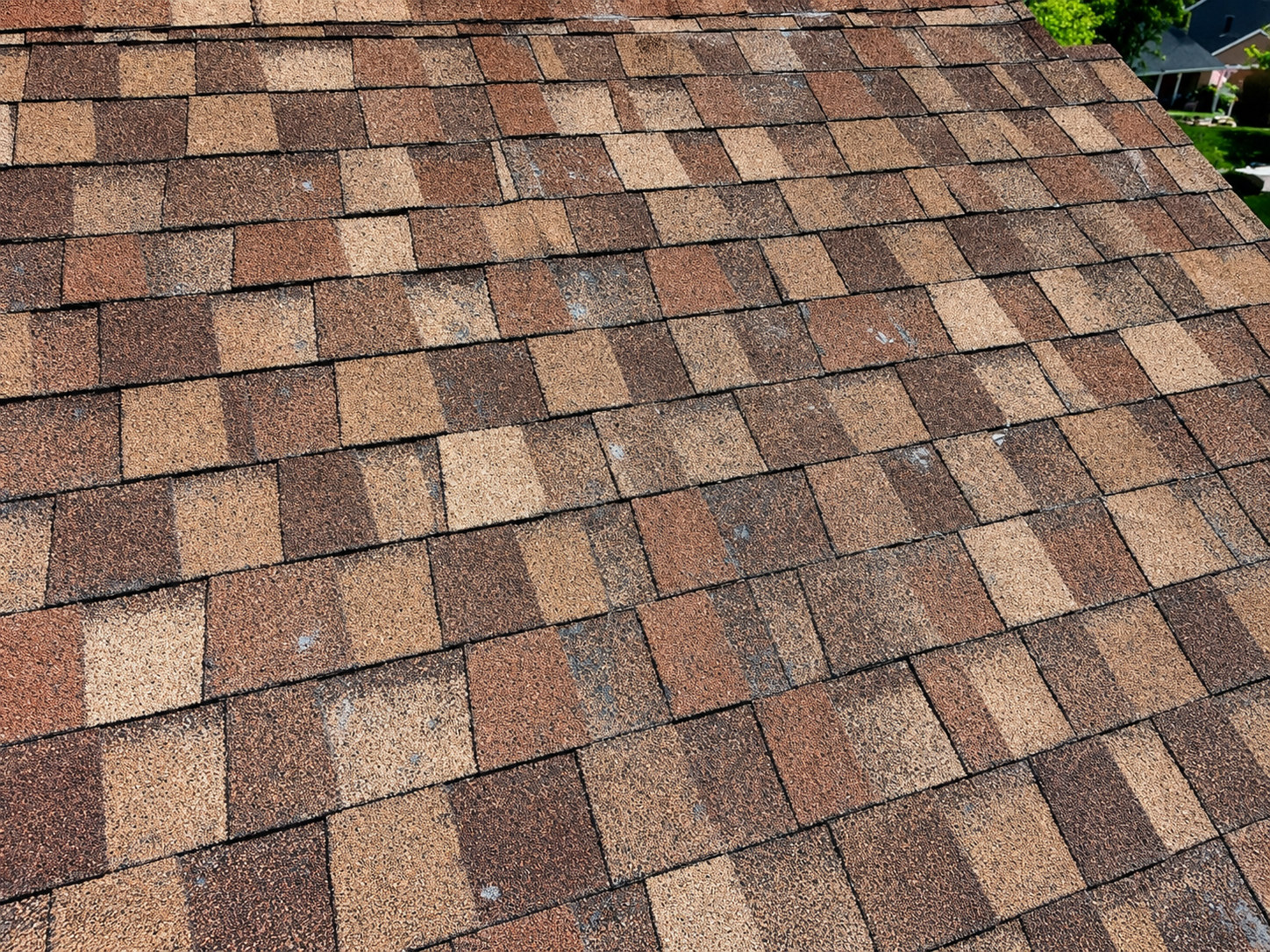 Hail-bruised standard asphalt shingle roof in Thornton, Colorado showing granule loss after a storm